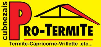 Où trouver une entreprise spécialisé dans le traitement des termites ? Gironde