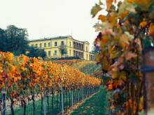 Notre zone d'activité pour ce service Tarif location échafaudage de façade 7m à Nantes 44 Loire-Atlantique avec assurance incluse